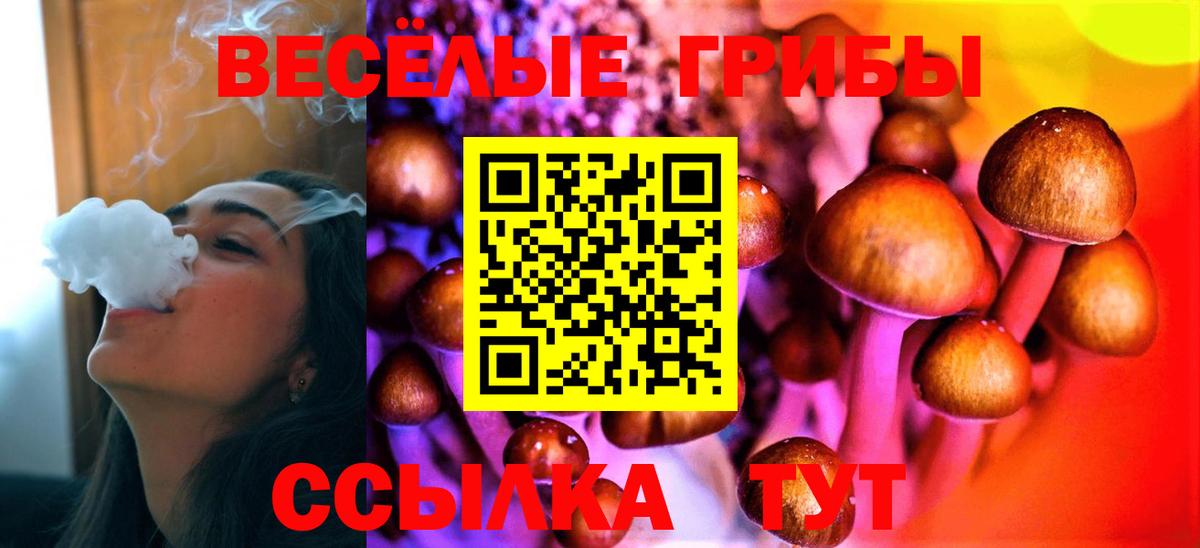 Псилоцибиновые грибы мицелий  Вход с VPN  Отрадное  Галлюциногенные грибы Cubensis 
